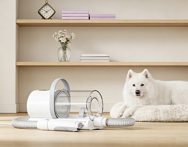 Opieka nad zwierzętami